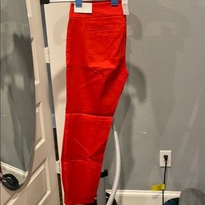 Ann Taylor Marisa Straight Pants